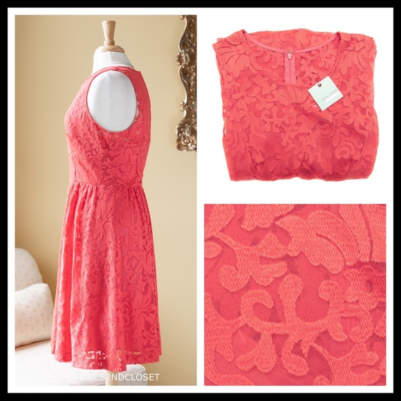 TRACY REESE A-LINE LACE FIT-AND-FLARE  DRESS A3C - Picture 4 of 8